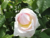 img0037.jpg