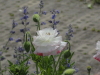 img0038.jpg