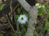 img0049.jpg