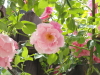 img0053.jpg