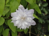 img0055.jpg