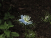 img0056.jpg
