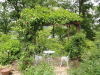 img0074.jpg