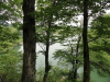img0082.jpg
