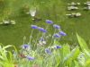 img0098.jpg