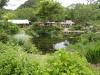 img0101.jpg