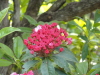 img0115.jpg