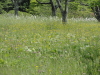 img0125.jpg