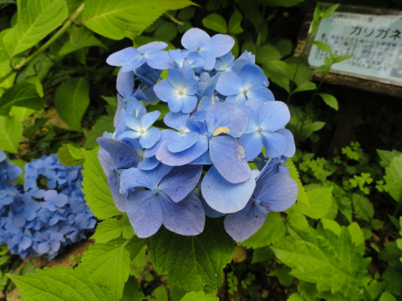 img0035.jpg