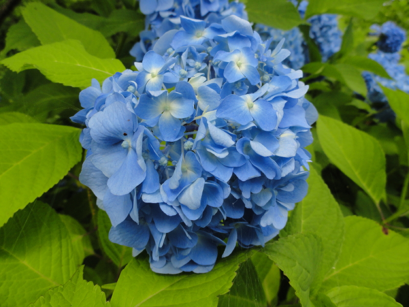 img0037.jpg
