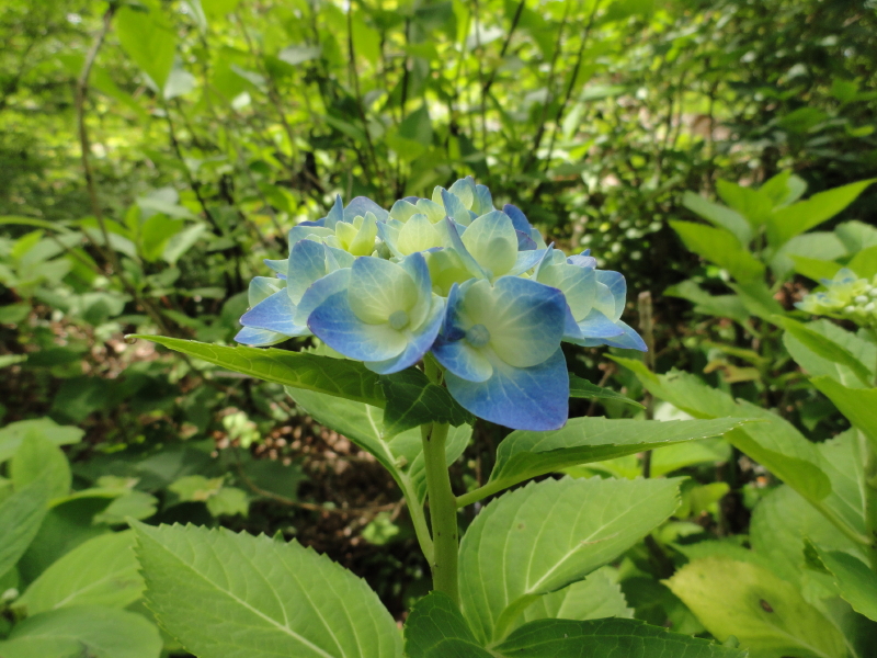 img0059.jpg
