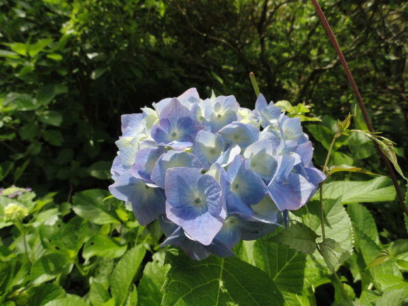 img0107.jpg