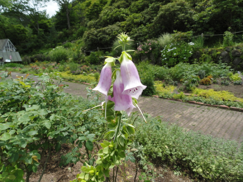 img0153.jpg