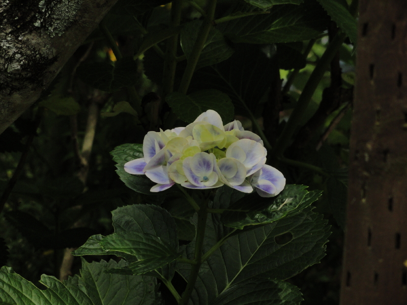 img0161.jpg