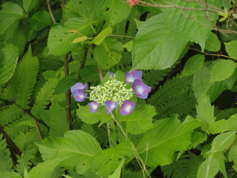 img0178.jpg