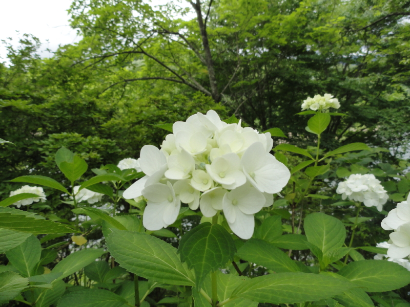 img0180.jpg