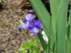 img0006.jpg