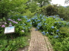 img0032.jpg