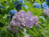 img0034.jpg