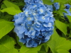 img0037.jpg