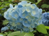 img0049.jpg