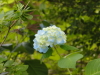 img0055.jpg