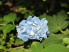 img0064.jpg