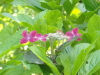img0090.jpg