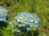 img0091.jpg