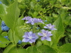 img0099.jpg