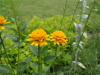 img0119.jpg