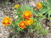 img0123.jpg