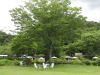 img0127.jpg