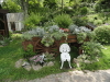img0138.jpg
