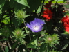 img0145.jpg