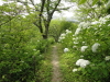 img0174.jpg
