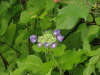 img0178.jpg