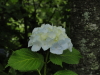 img0186.jpg