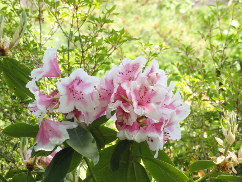 img0020.jpg