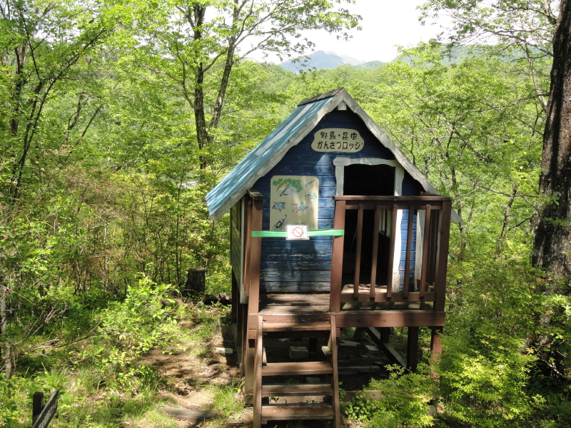 img0024.jpg