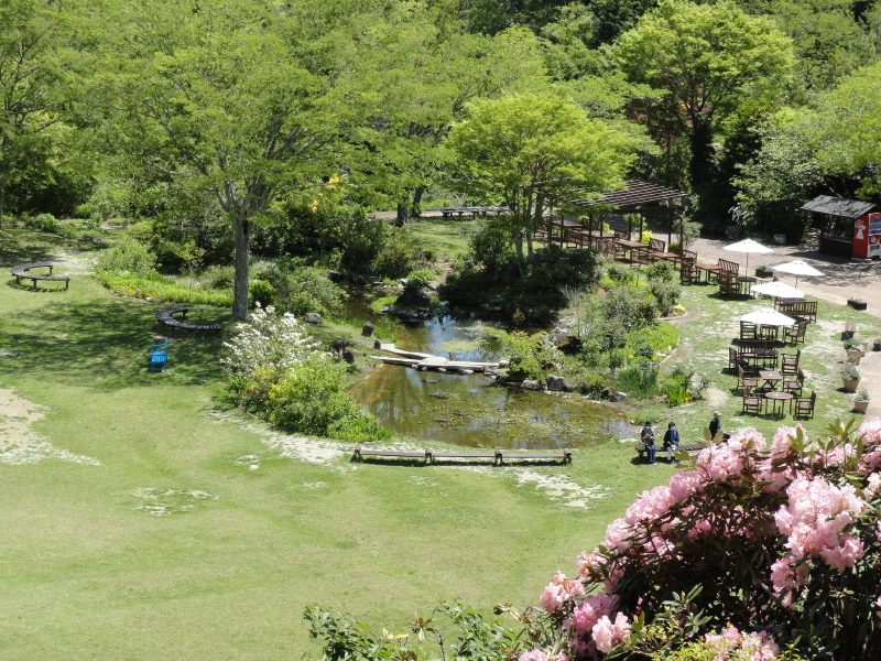 img0027.jpg