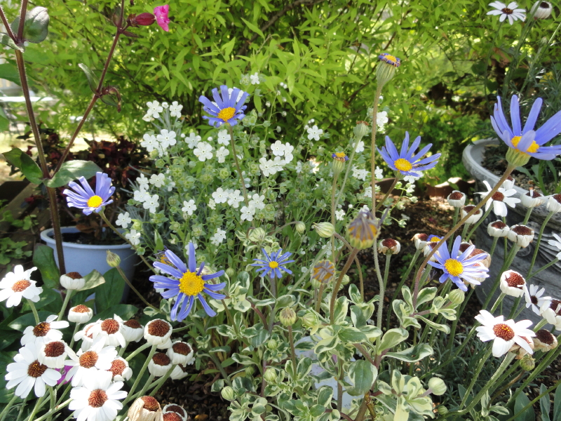 img0044.jpg