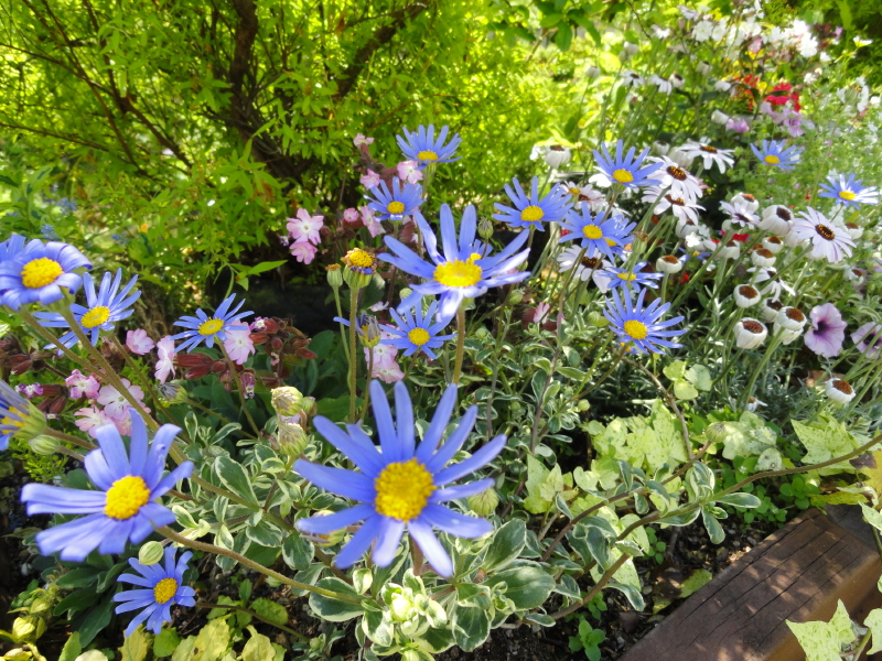 img0046.jpg