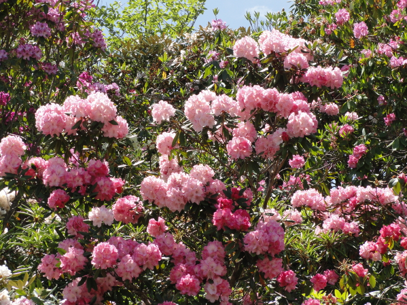 img0055.jpg