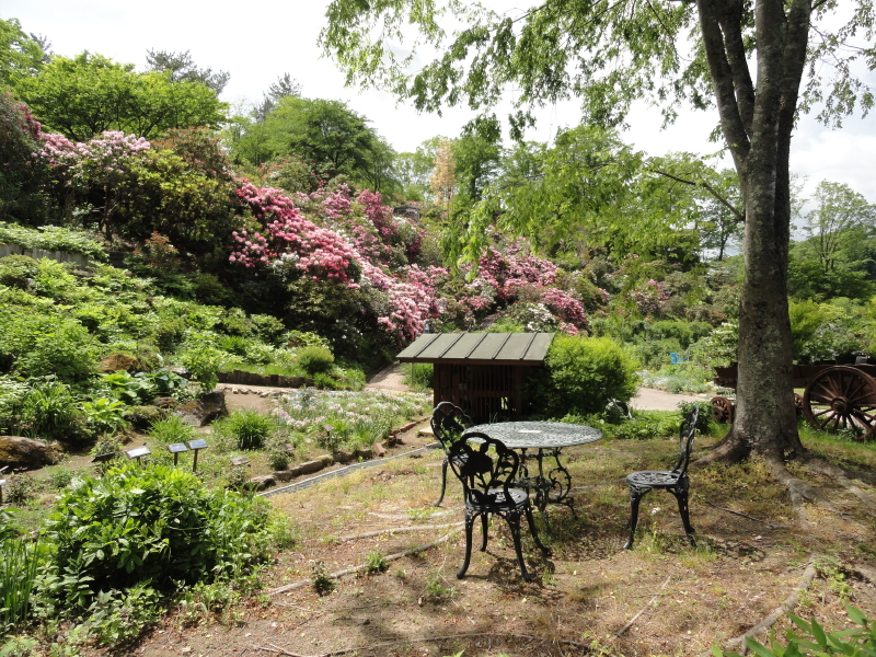 img0092.jpg