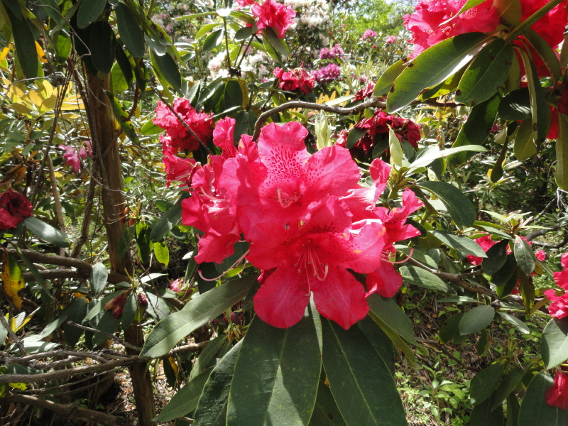 img0094.jpg