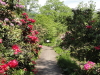 img0022.jpg