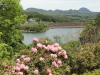 img0028.jpg