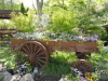 img0039.jpg