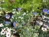 img0044.jpg